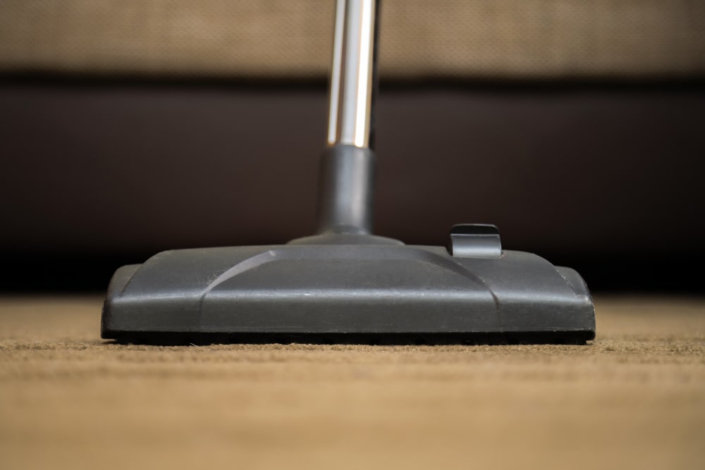 ניקוי שטיחים ברחובות