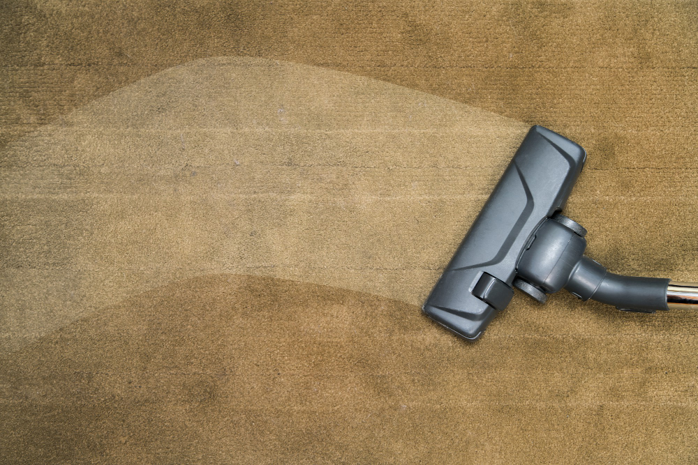 ניקוי שטיחים בתל אביב